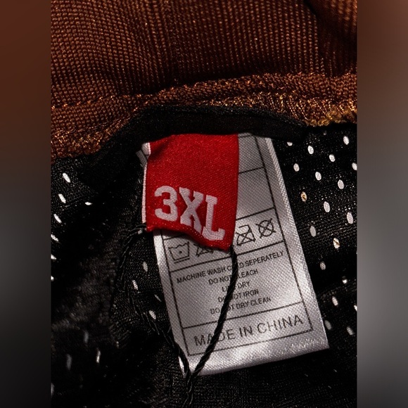 NEW ASAP Rocky Testing Music Men 3XL San Tan Cub Striped Satin Pants Hip Hop - Picture 3 of 10